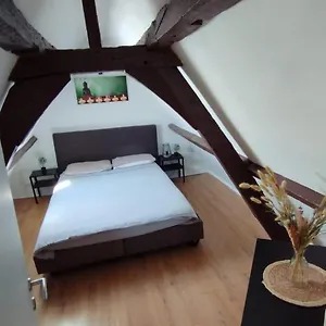  Appartement The 16th Century Duplex In The City Center